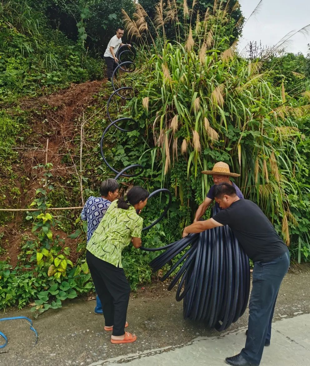 圖片3.png 圖片3.png