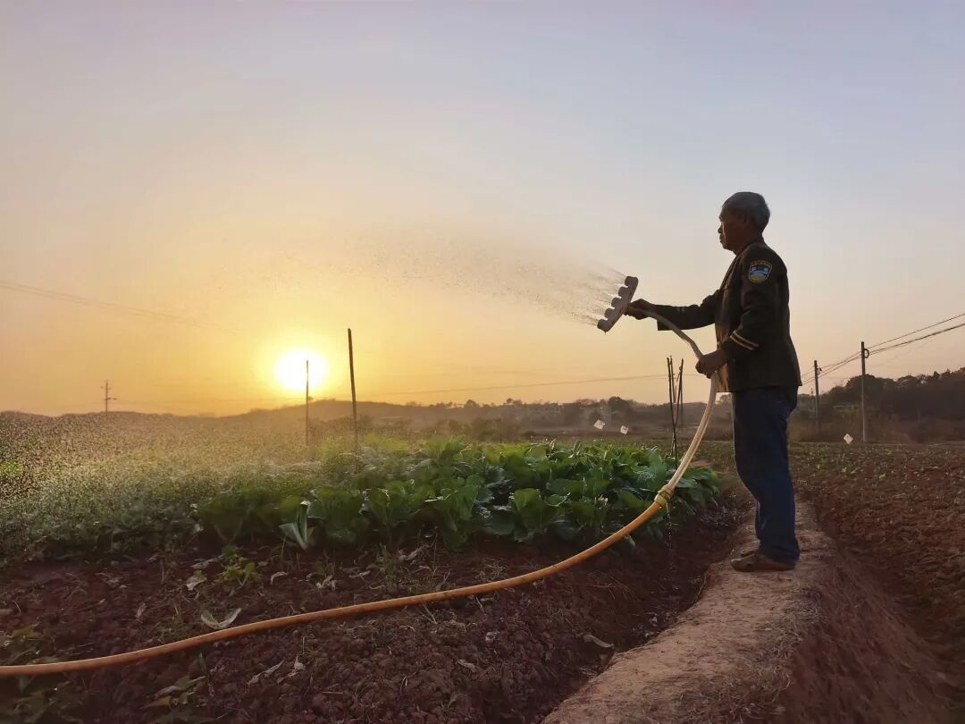 圖片5.png 圖片5.png